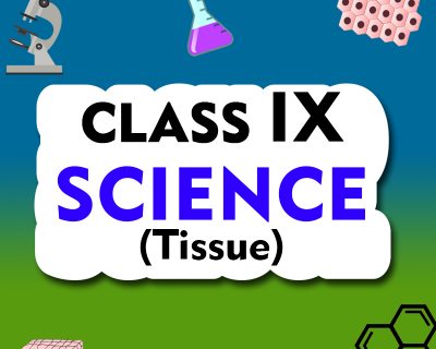CBSE Class 9 Biology (tissues)